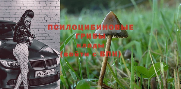 герыч Володарск