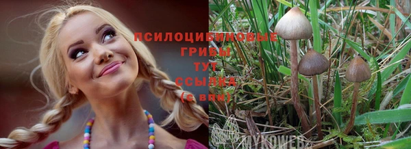 марки lsd Волосово