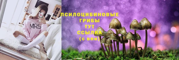 марки lsd Волосово
