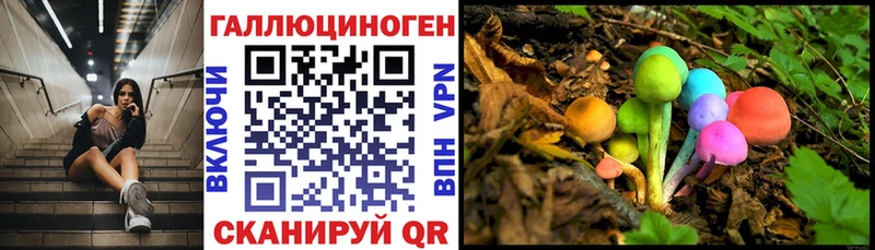 магазин продажи   сайты даркнета какой сайт  Галлюциногенные грибы MAGIC MUSHROOMS  Березники 
